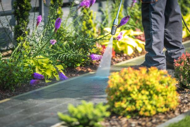 Best Patio and Deck Pressure Washing  in Dripping Springs, TX