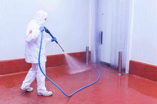Best Oil Spill Cleanup  in Dripping Springs, TX